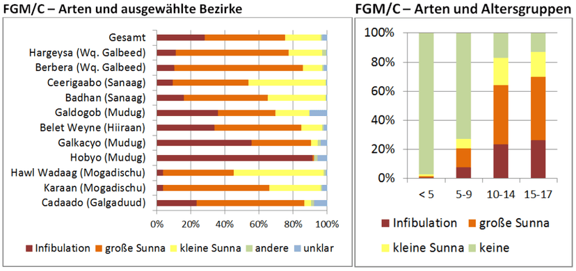 Form von FGM nach ausgewählten Bezirken und Altersgruppen